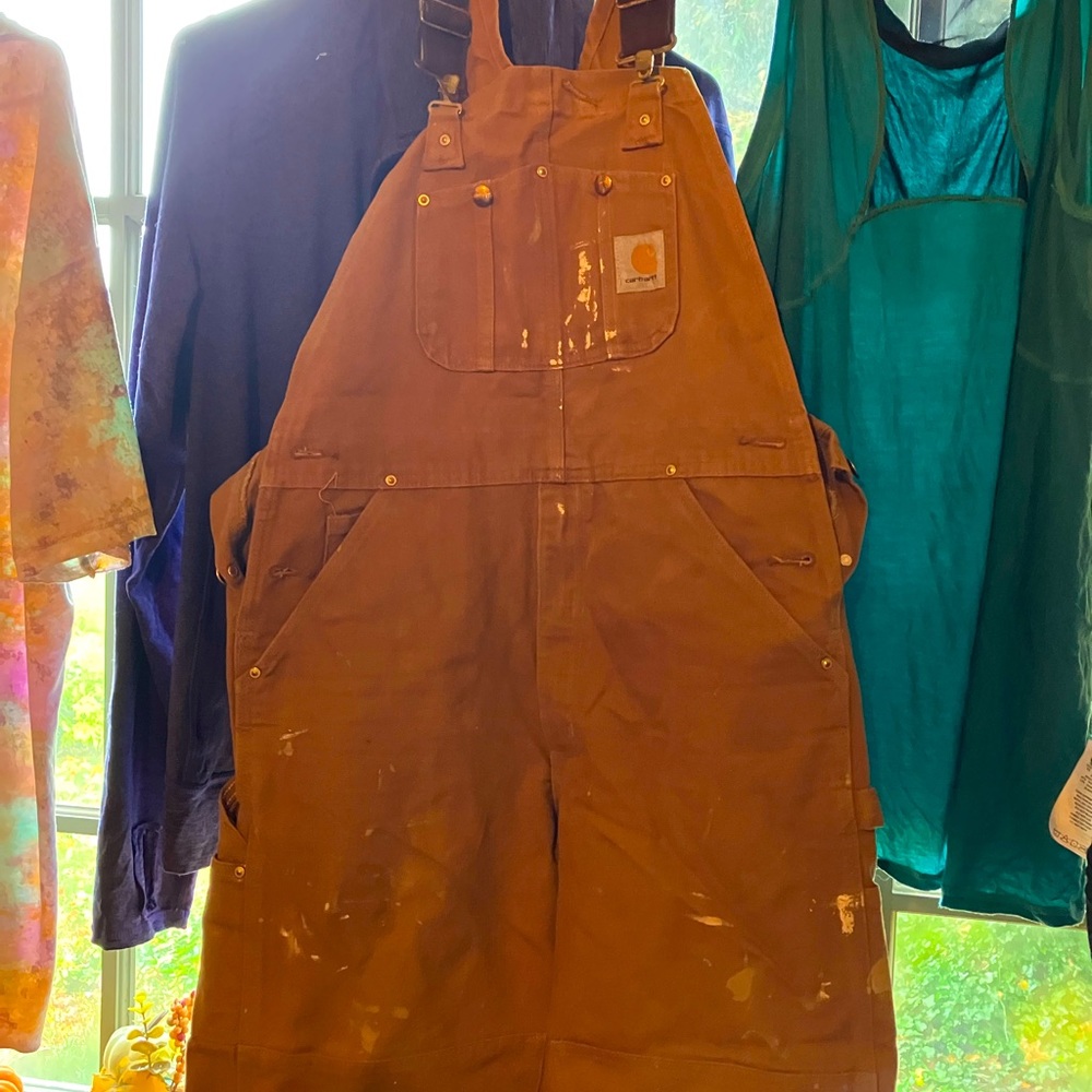 Carhartt Men’s Bib work overalls R01 34/30